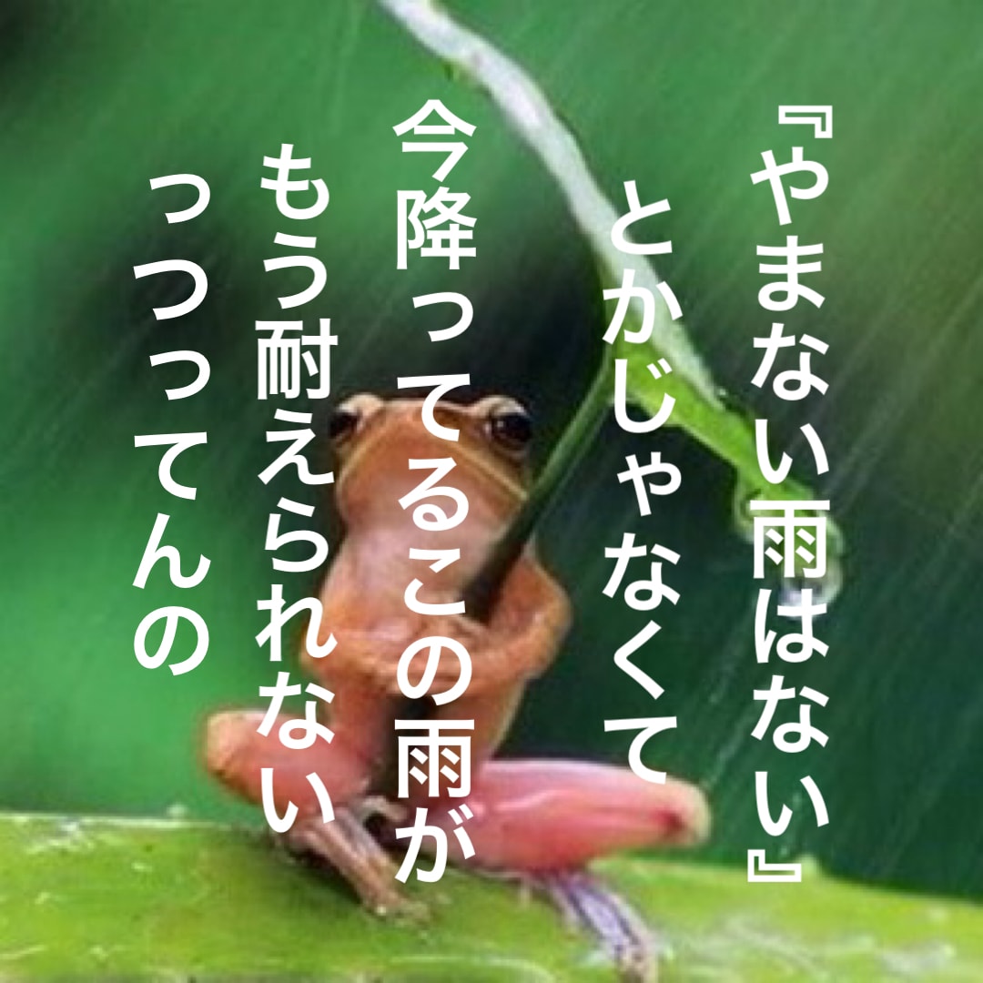 なんとなく眠れない…そんな夜にお話しお聞きします ちょっとした愚痴～真面目な相談までオールOK! イメージ7
