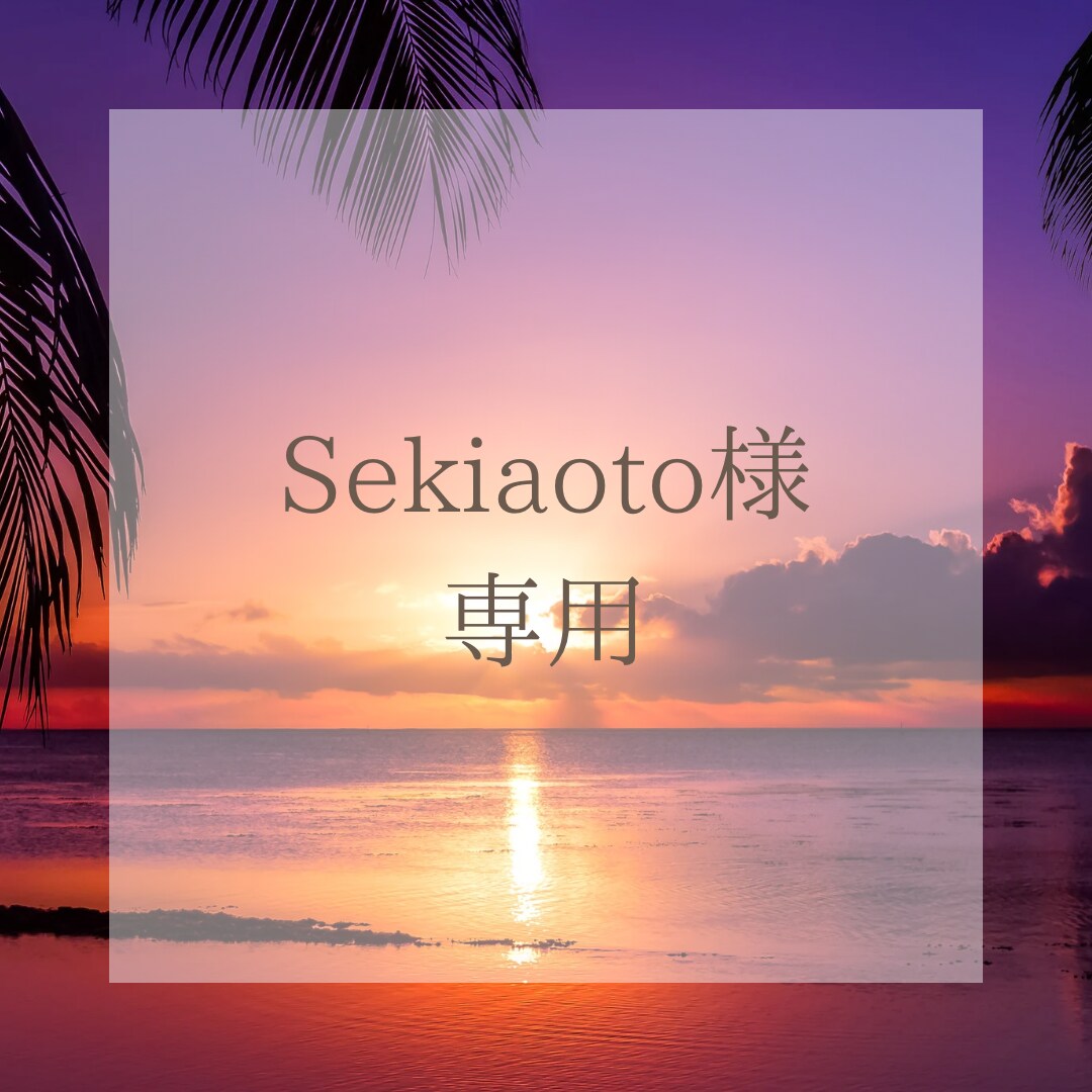 sekiaoto様専用ページとなります HP保守専用ページとなっております。 イメージ1