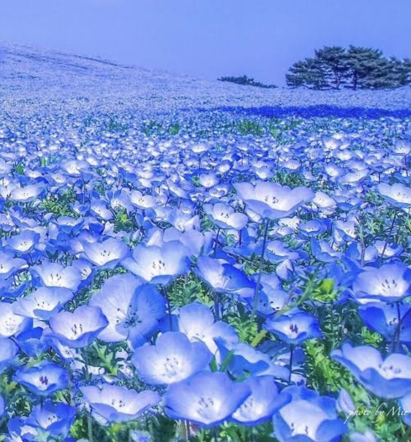 傾聴します 気を遣いすぎて疲れてしまう方へ。 イメージ1