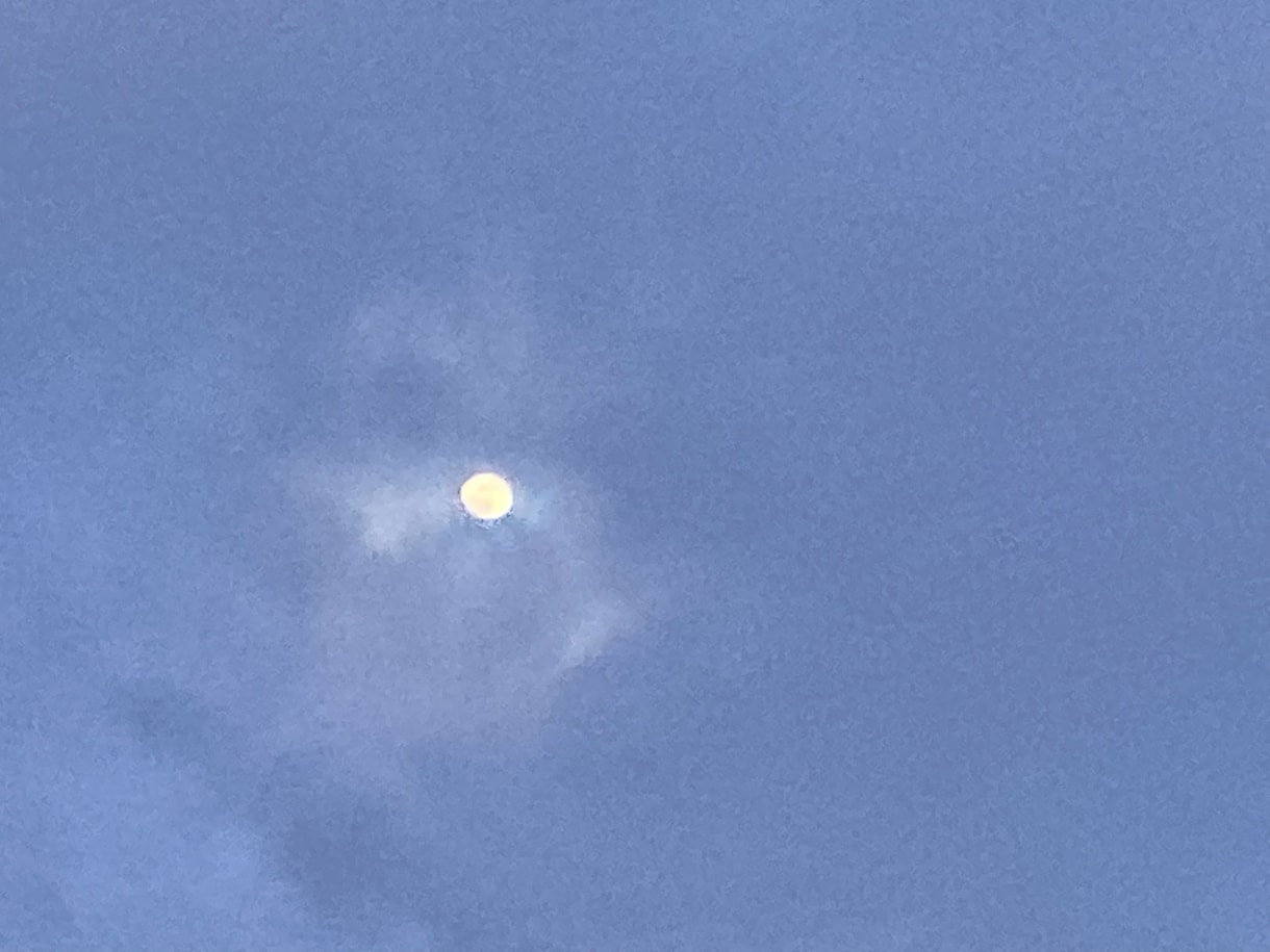 ココナラ初出品❤︎遠隔レイキヒーリング致します レイキで癒し、施術の際感じたことをフィードバックします。 イメージ2