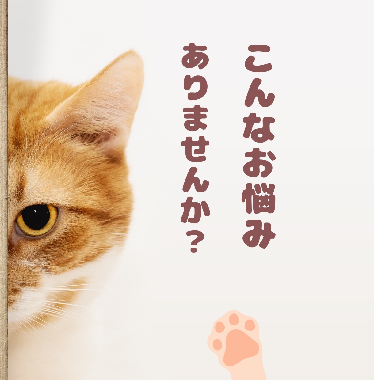 小規模宿向け｜OTA広告の分析レポートを作成します 広告費と予約実績を整理し、経営判断に役立つレポートを作成★ イメージ2