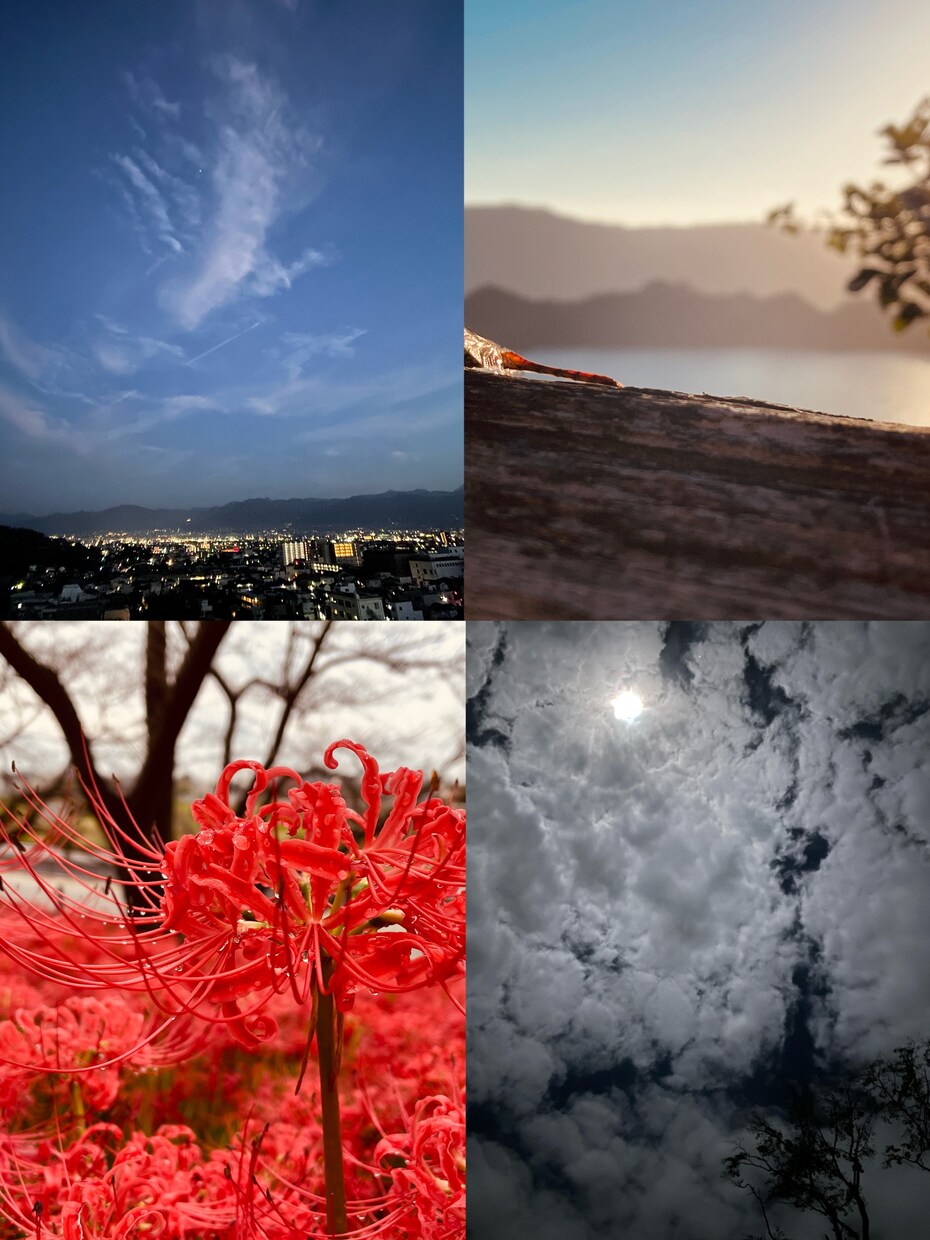 草花や風景などの写真素材提供します 背景やイラストの素材でお困りの方へ！ イメージ4