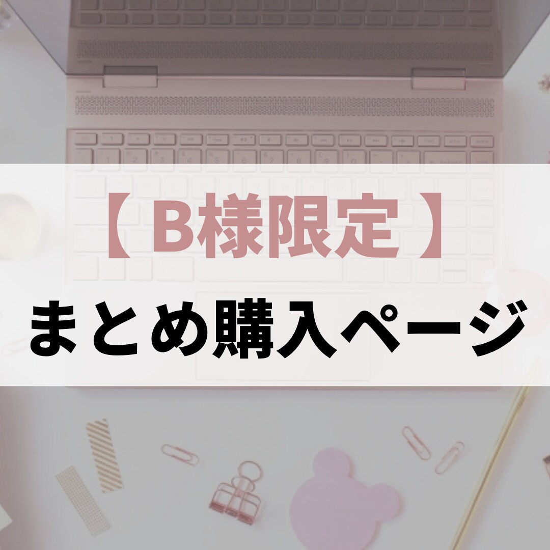 B様限定！専用まとめ購入ページでございます <専用ページ>B様専用購入ページでございます