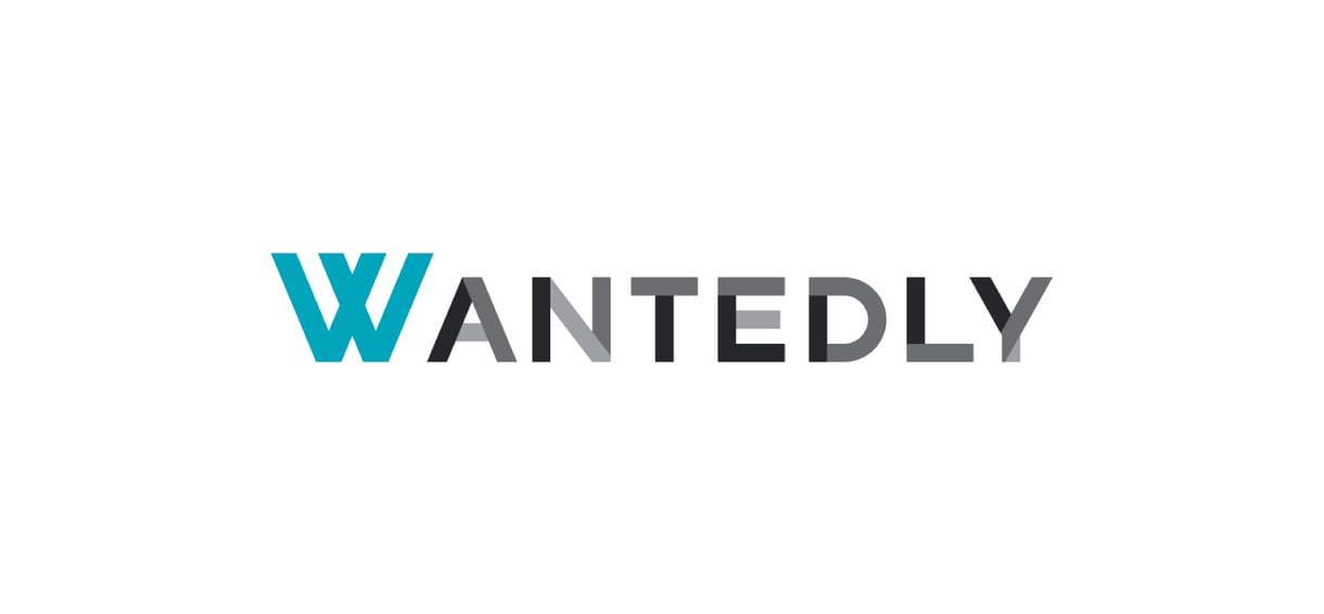 Wantedlyの求人記事を執筆します （求人記事作成）効果的な求人記事を作成します イメージ1