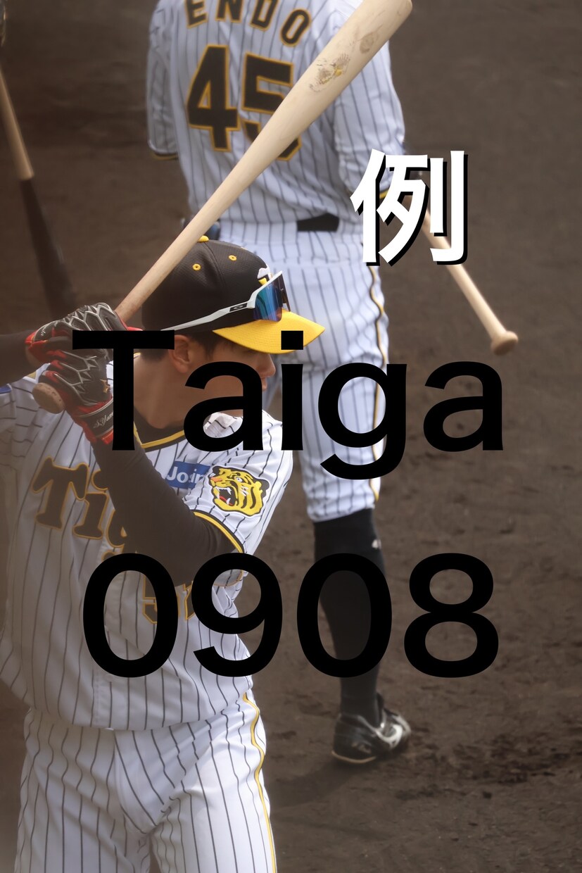 プロ野球選手の選手の写真撮影代行致します 鳴尾浜球場舞洲バファローズスタジアムにて写真を撮りに行きます イメージ2