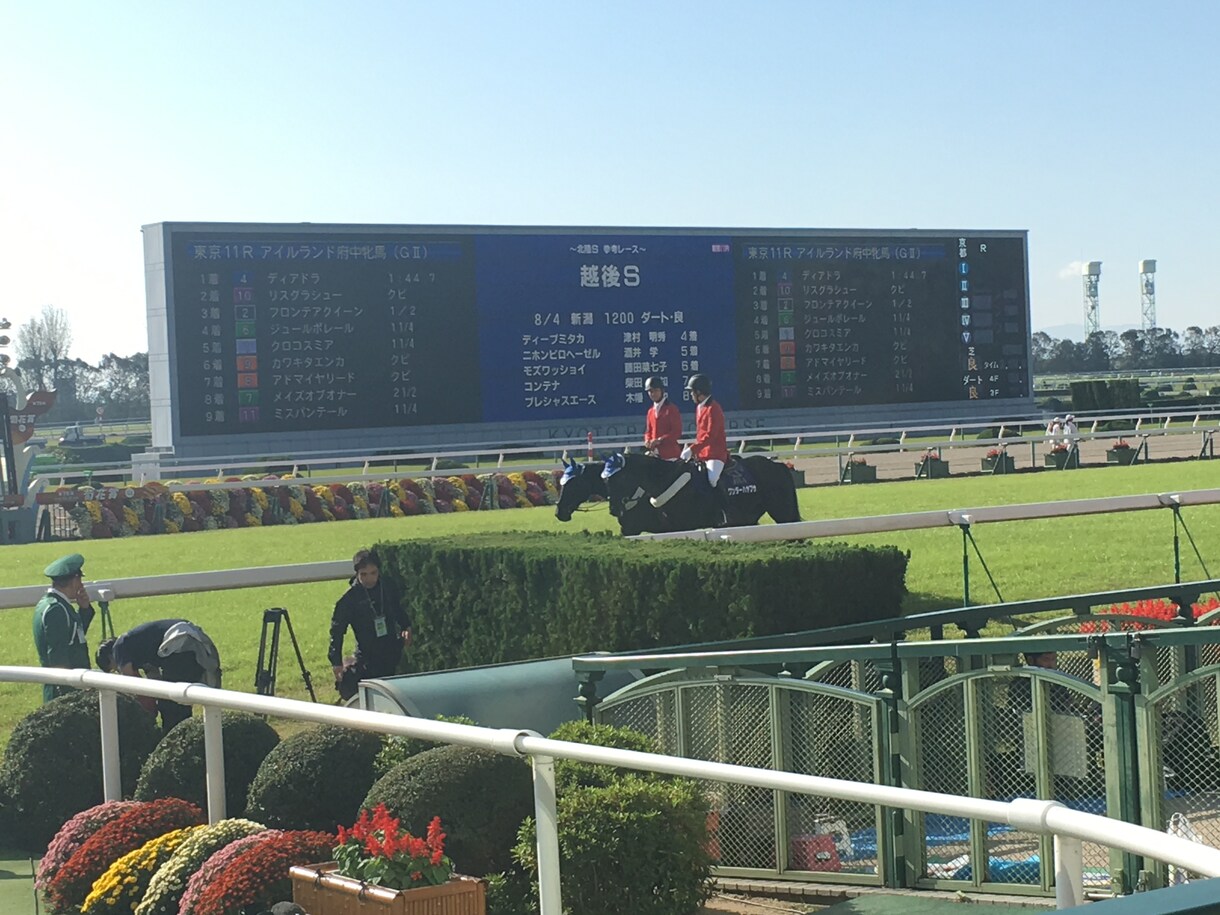 馬券予想します お小遣い稼ぎに協力させてください！！ イメージ1