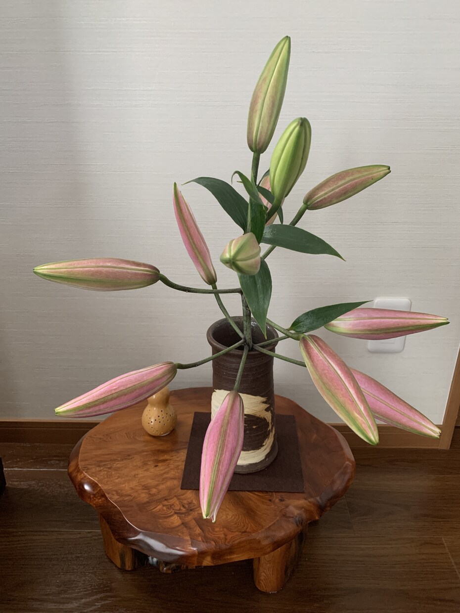 親切なお隣さんがお話をお聞きします あなたの思いを聞きます。ほんの少しの時間でもOK! イメージ5