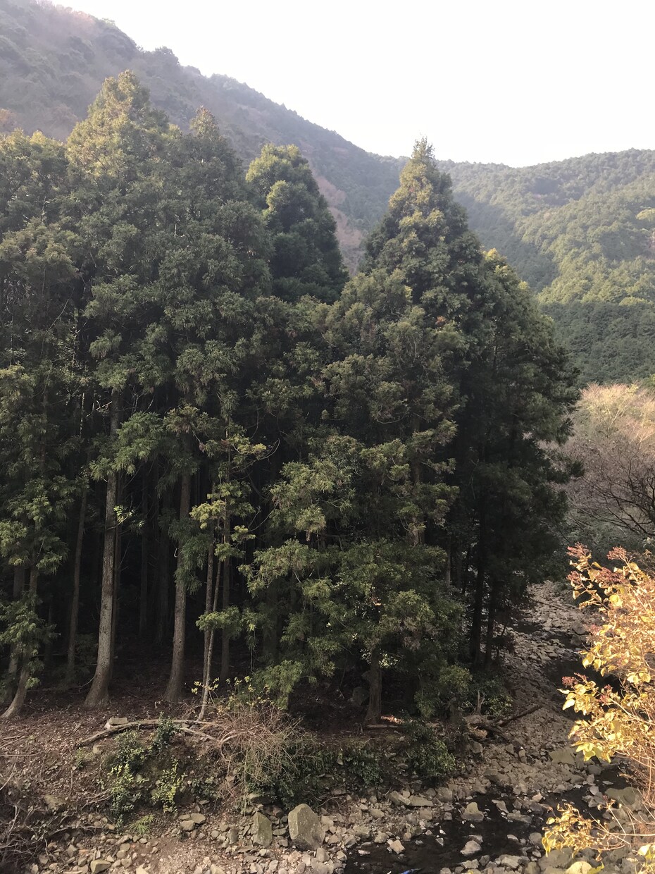 23歳なりのお答え提供します 軽い気持ちでお話ししたいときに イメージ1