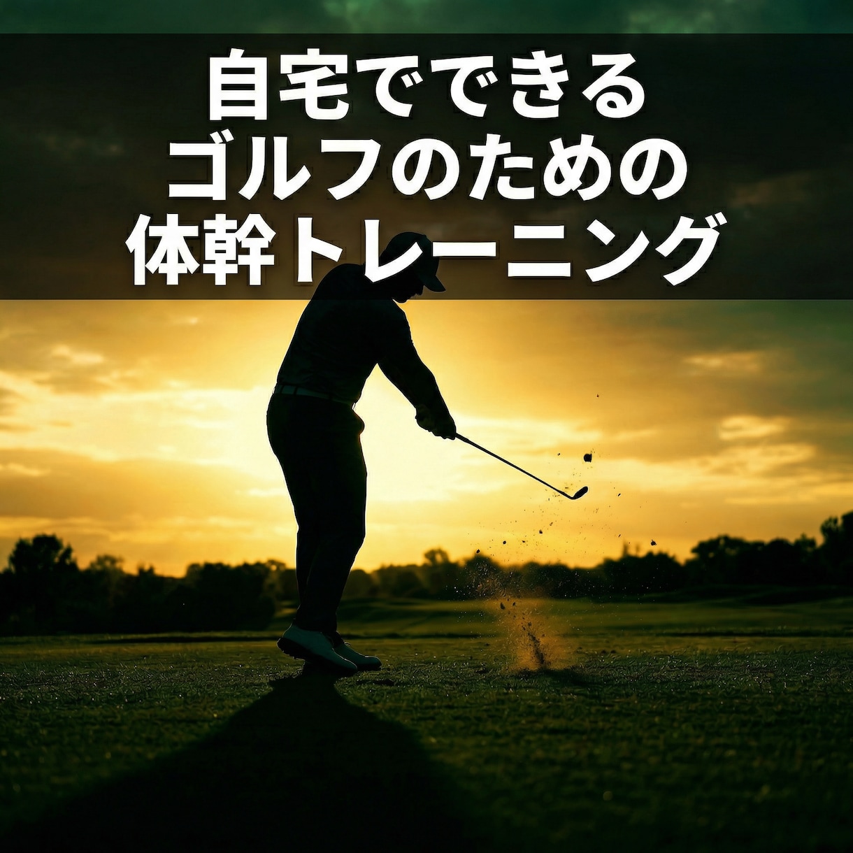 ゴルフパフォーマンスが上がる筋トレを指導します 家トレで差をつけませんか？ゴルフのためのオンライン筋トレ イメージ1