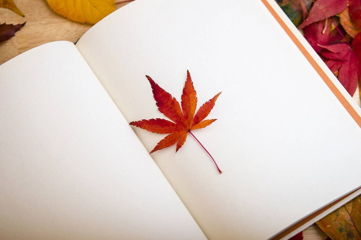 感想をお届けします 小説、台本、エッセイなど感想が聞きたい方にオススメ イメージ1