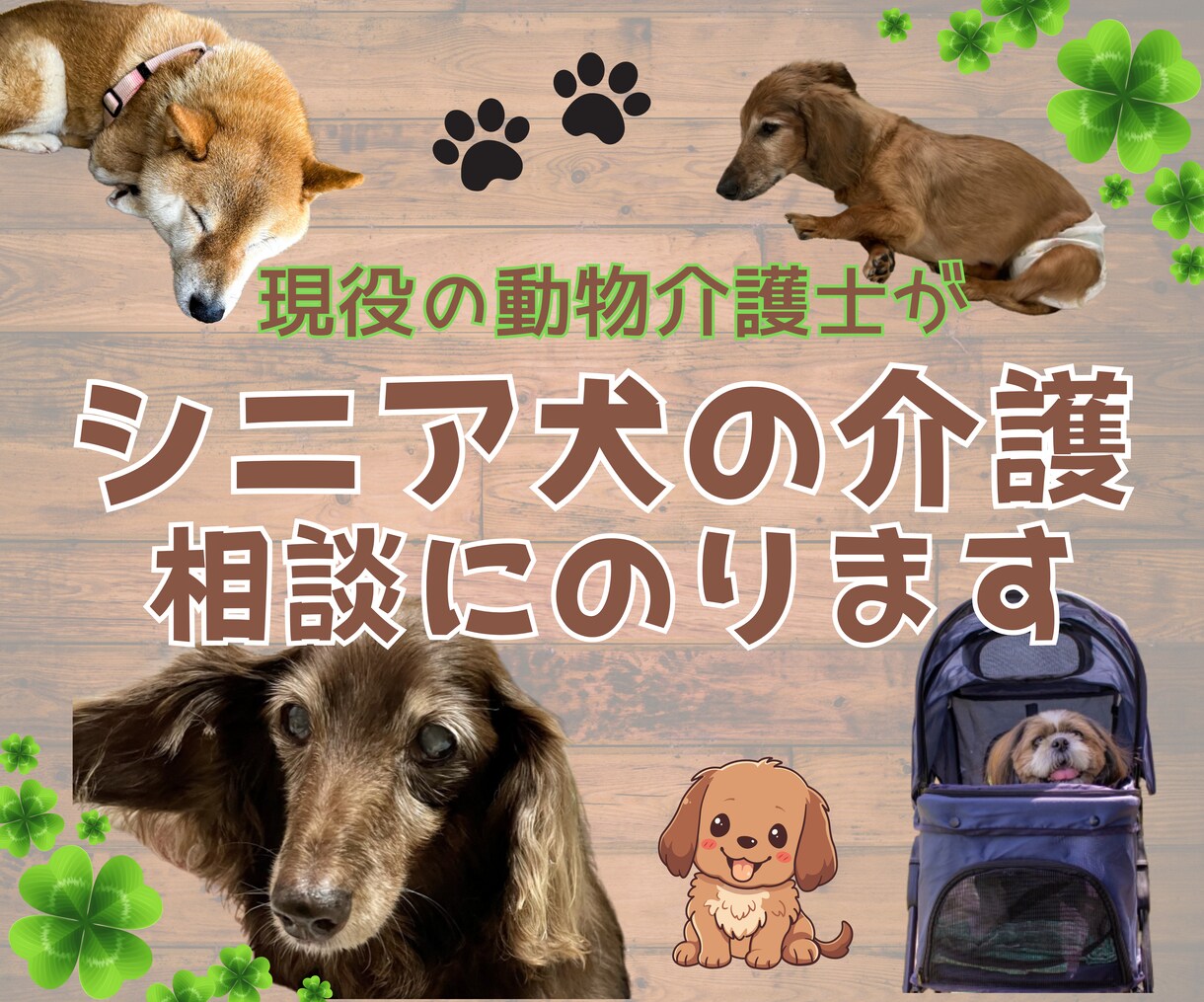 愛しいシニア犬の【飼養・介護】相談にのります 動物介護士・ドッグホテルオーナーが知識と経験で寄り添います イメージ1