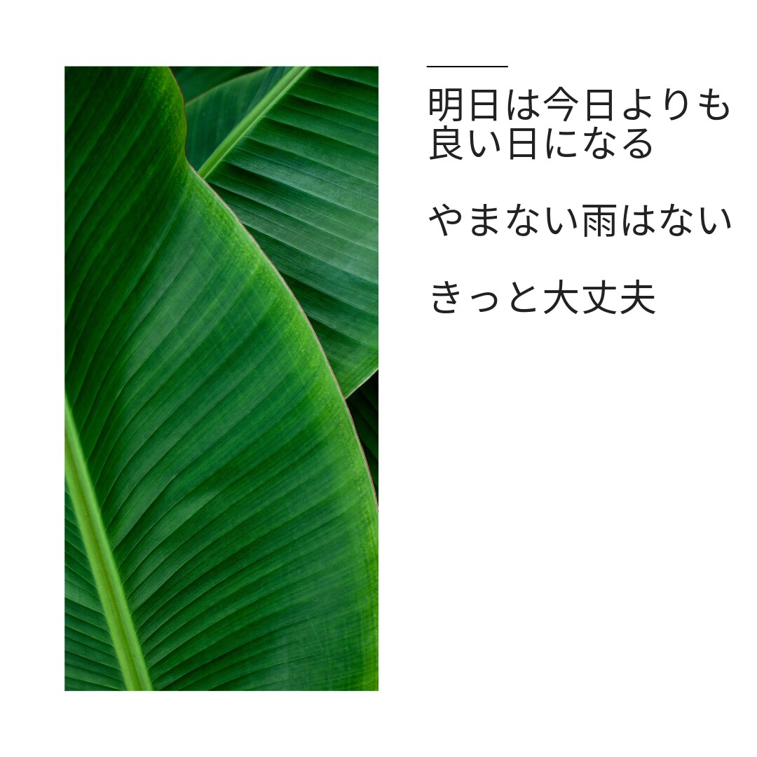 お年寄りの方、話聞きます お年寄りの方以外の方も大歓迎です。 イメージ5