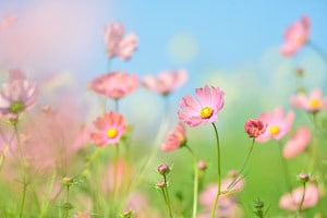 気になって仕方ない方、お待ちしてます 〰️が引っ掛かって…〰️が忘れられない… イメージ1