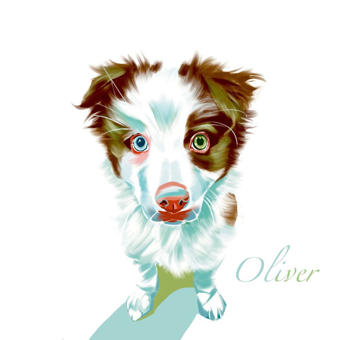 世界に一枚のご愛犬のイラストを描きます アクリル画風の鮮やかなイラストを描かせていただきます！ イメージ6
