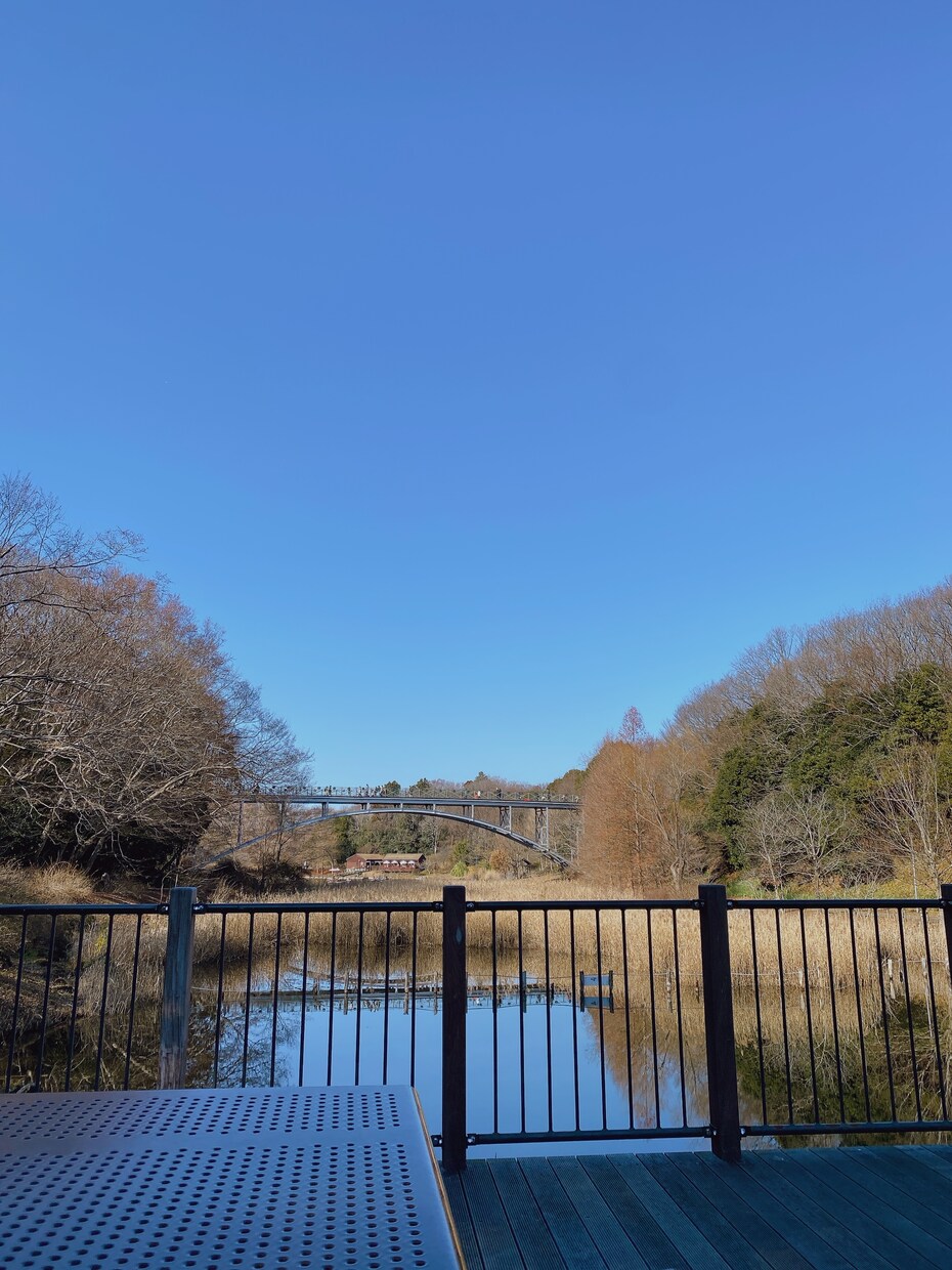癒される景色の写真を販売します 美しい景色や自然やお花がメインです イメージ9
