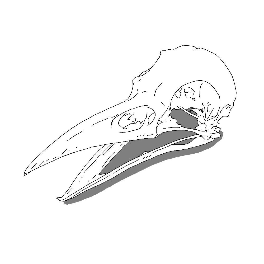 スケッチ風イラストを描きます SNSやブログ・印刷物の挿絵にオススメ！ イメージ2