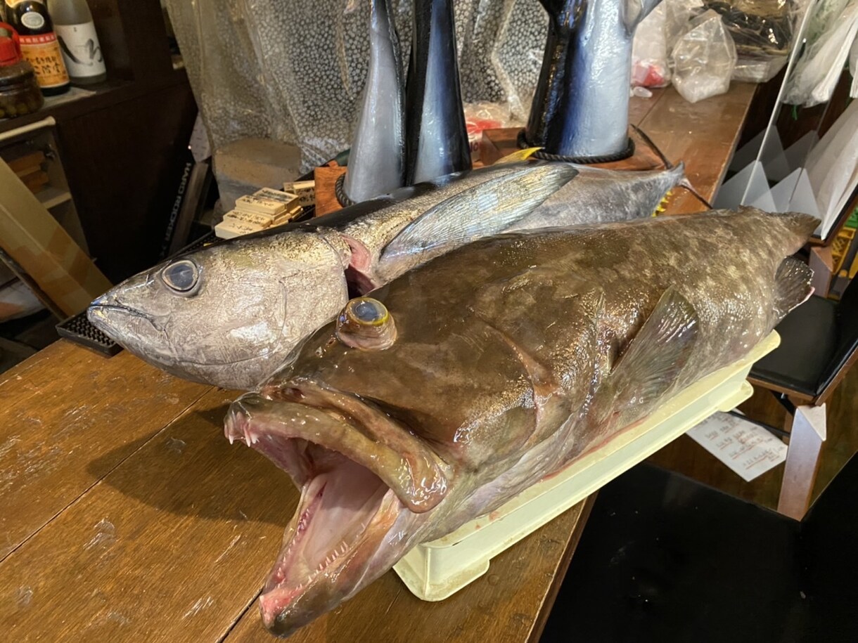 魚釣りのポイントや、おすすめのタックルおしえます 釣り歴39年の釣りバカです❗色々な釣りに精通してます❗ イメージ1