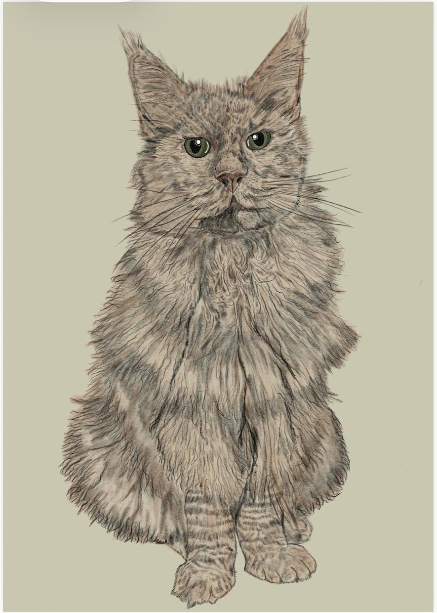 即日納品可能、画像を参考に素敵な絵をお届けします デザイナーのセンスを活かし鉛筆画からカラーまで仕上げます イメージ3