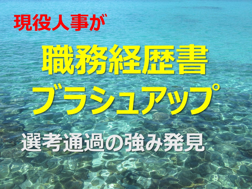 現役人事が職務経歴書ブラシュアップと強み発見します 転職 応募書類は人事視点と強み明確化で選考通過できる！ イメージ1