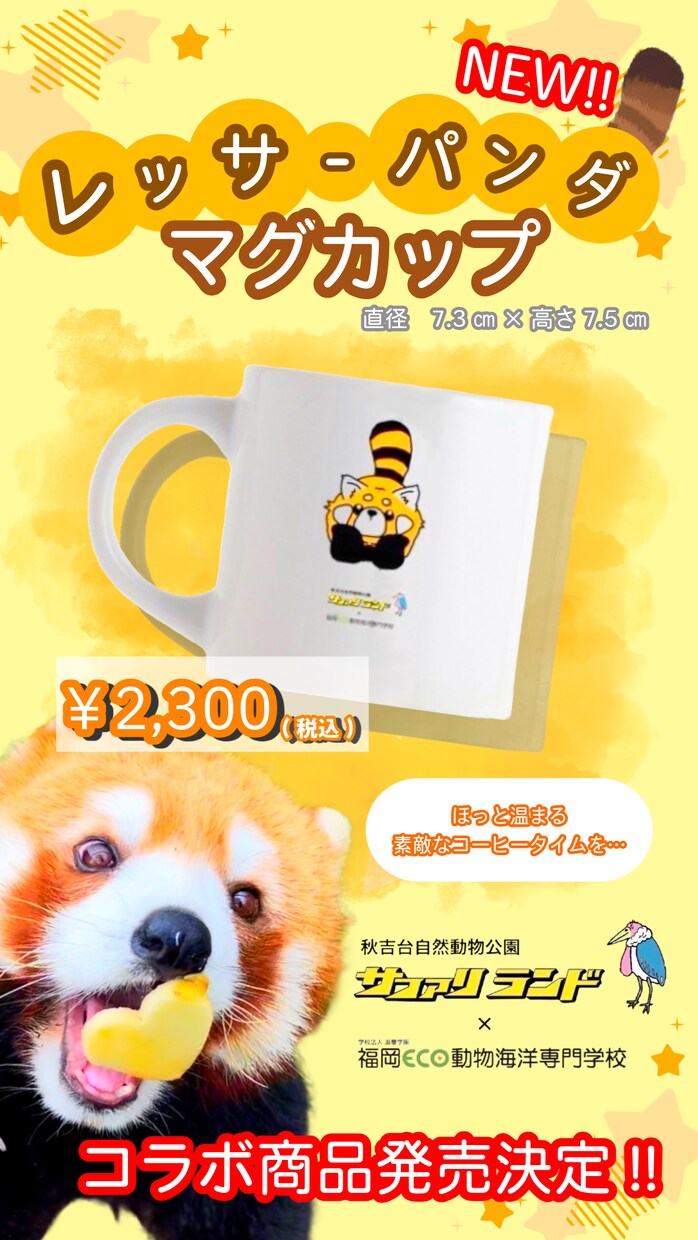動物関係、子供向けチラシを作成します 大人から子供まで目で見て楽しめる作品をお届けします イメージ6
