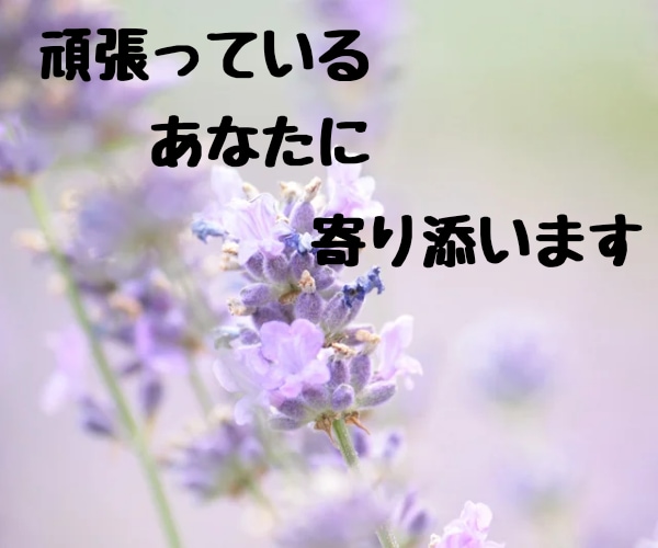 愚痴を一度吐き出してスッキリ出来るようにお聞きます ⭐️一旦お話して冷静になってから旦那さんと向き合いませんか？ イメージ8