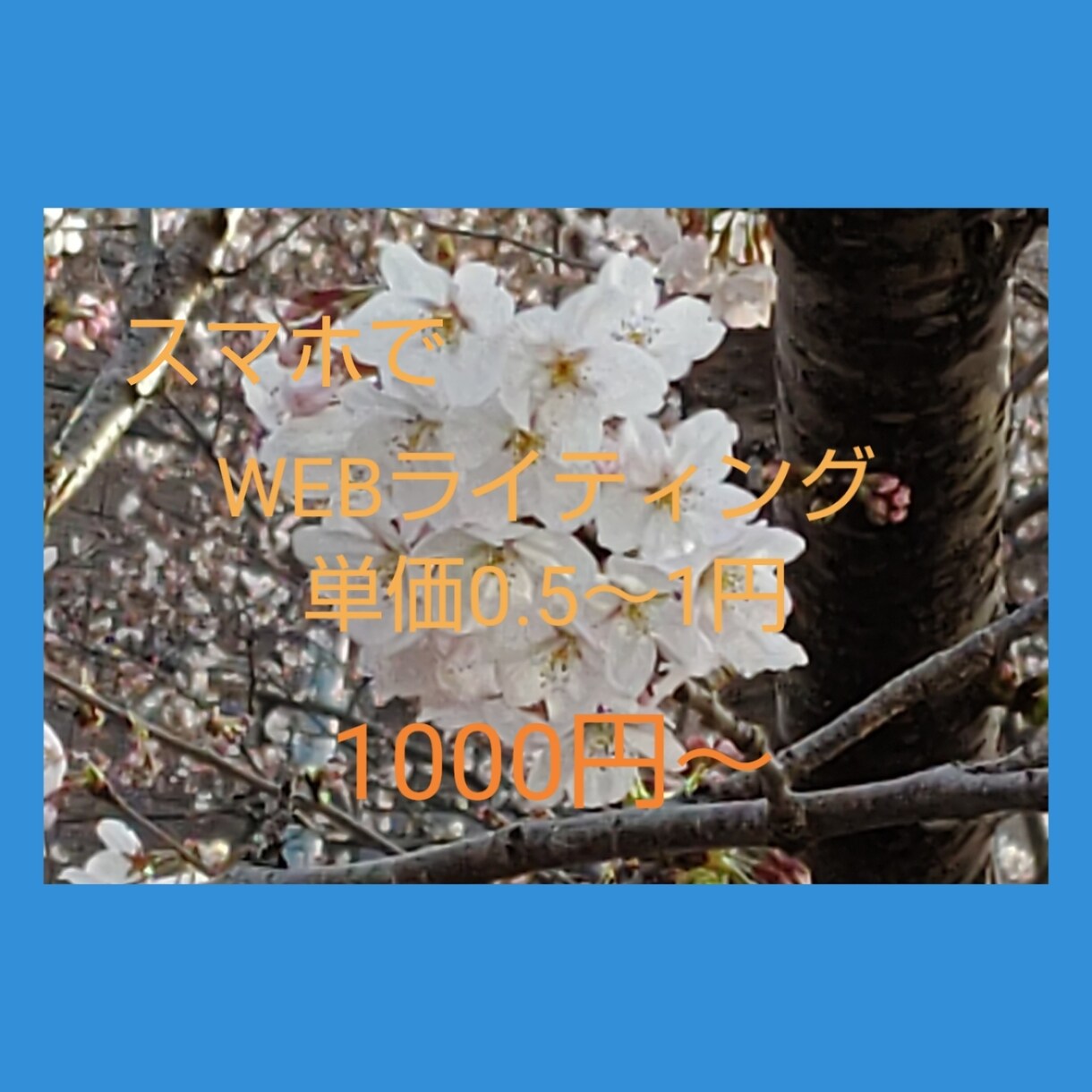 商品、番組、その他  レビューいたします ブロガー歴15年です！感想やレビューします。 イメージ1