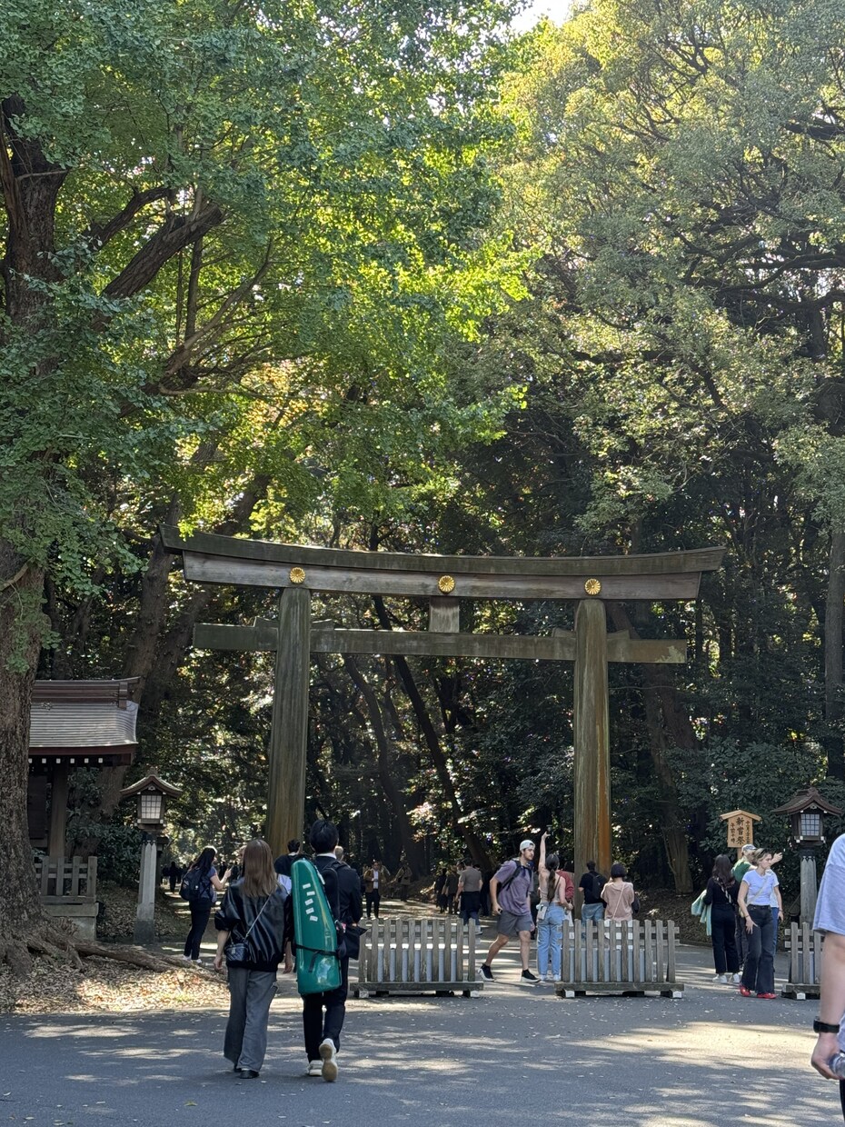 霊感、透視、インスピレーションで今後を見ます 霊感、霊視メインであなたの悩みをリーディングします イメージ1