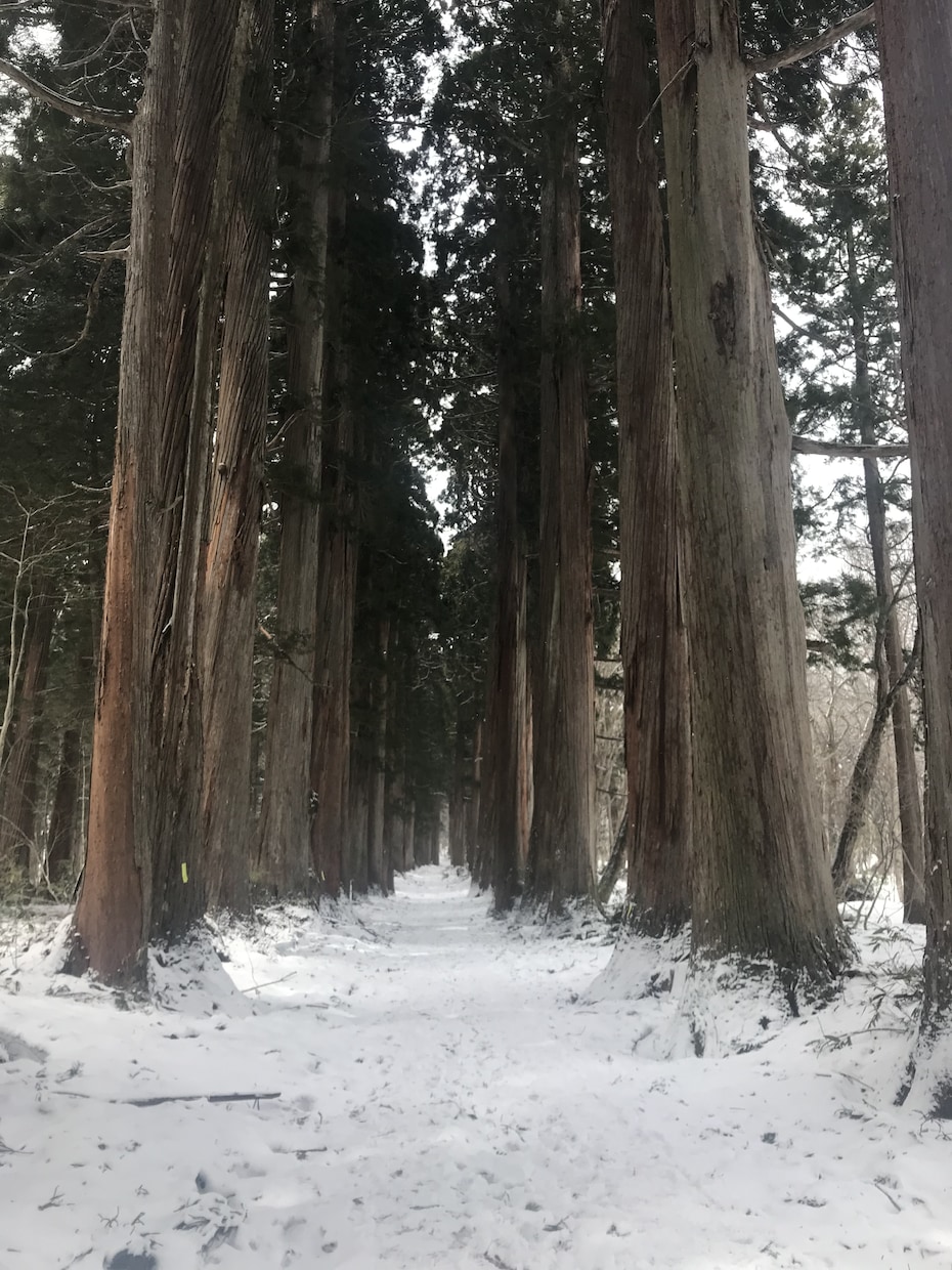 何を考えているのか気になる。お相手の気持ちみます タロット・霊感・霊視・密教で鑑定します❤️ イメージ3