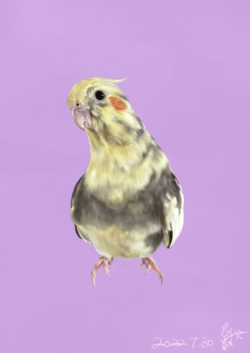うちの子(ペット)を完全手描きでアートにします あの子がすぐそこにいるような…ホッとする特別な一枚を。 イメージ4