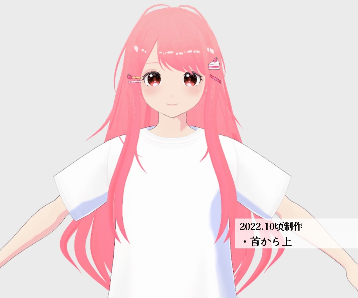 イラストからVroid製3Dモデル制作します 最短2週間！＆超お手頃価格！Vtuberデビューサポート有◎ イメージ4