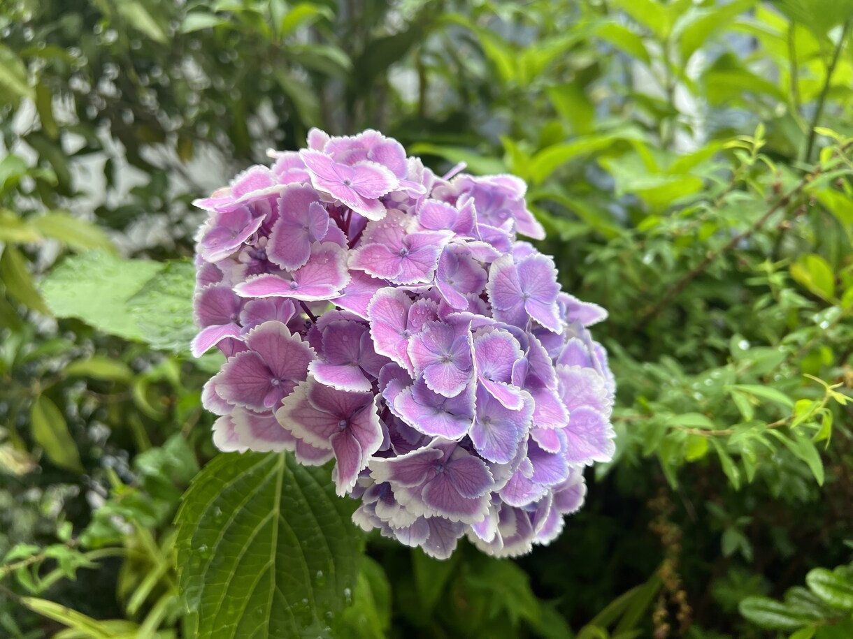 女性の方向けです。お話し聞きます 一人で抱えこんで本当の闇に落ちる前に イメージ9