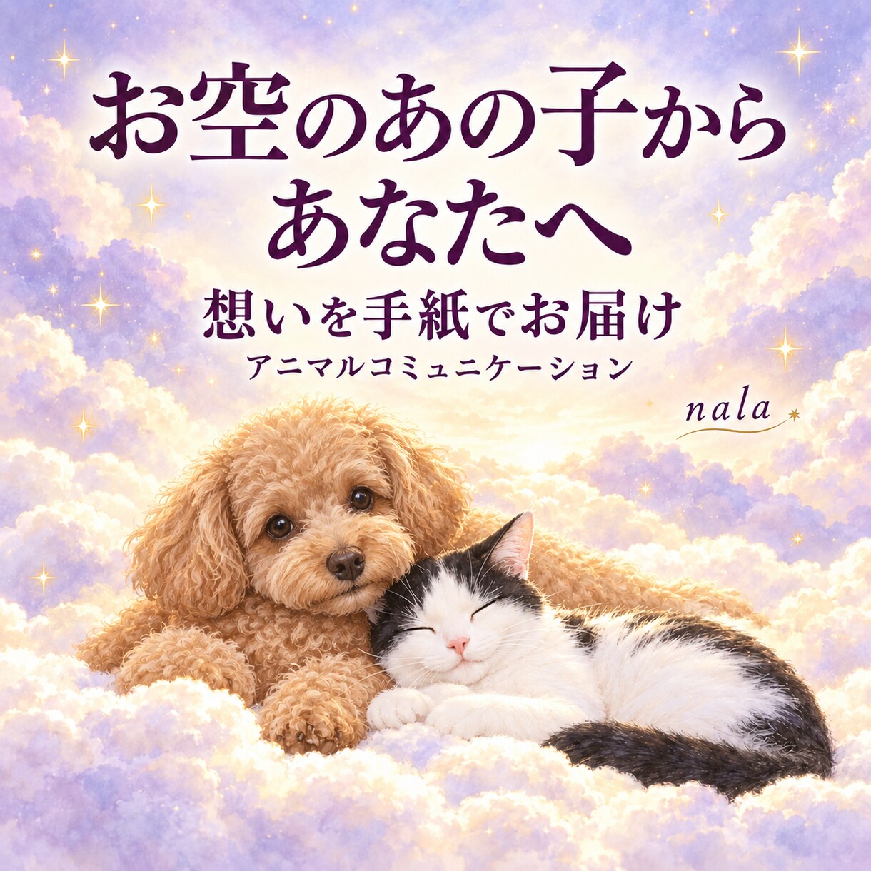 お空の子からの想いを手紙で届けます 旅立ったペットの今の気持ちをお伝えします イメージ1