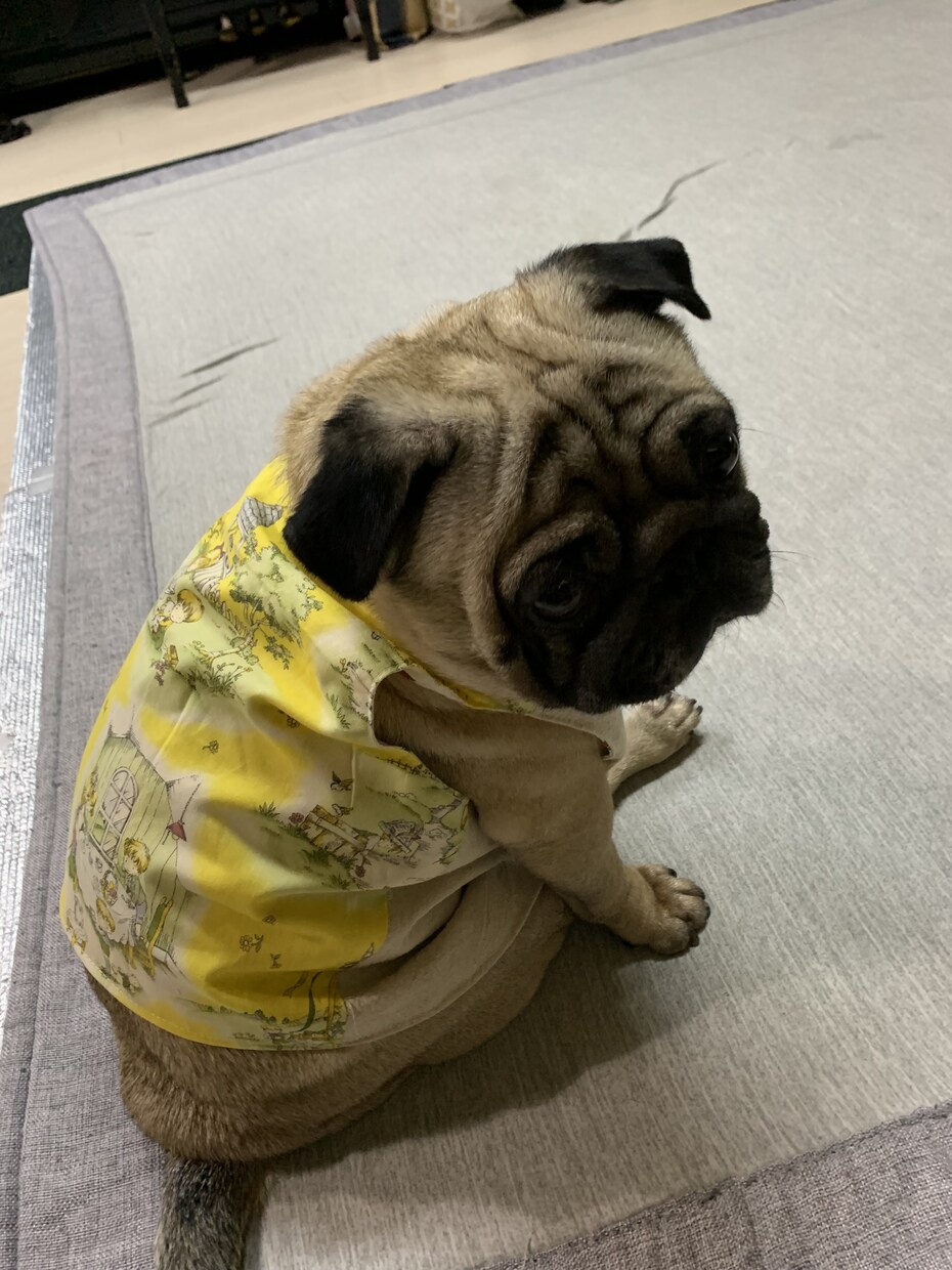 洋服、犬の服、子供服オーダー受け付けます オリジナル商品多数あります。オーダー受付致します。 イメージ4