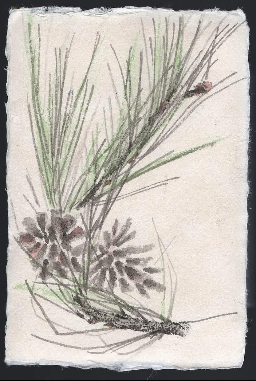 墨絵・水墨画を手描き、データ納品します 紙と墨の滲みが美しい本格水墨画。彩色も可能です。 イメージ7