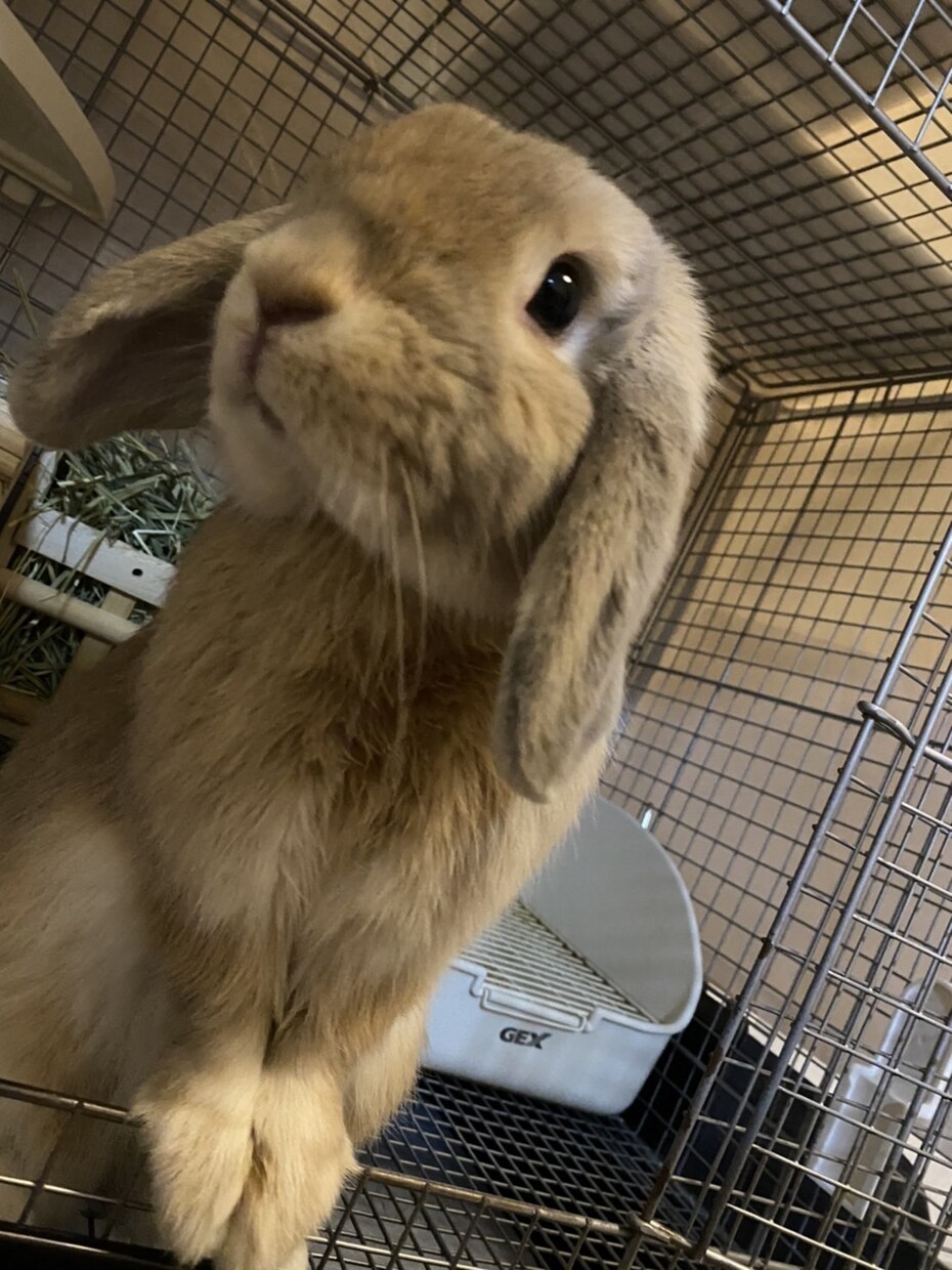 あなたのお話しなんでも聞きます ちょっとした愚痴からしっかり恋愛話まで是非お話しましょう！ イメージ2