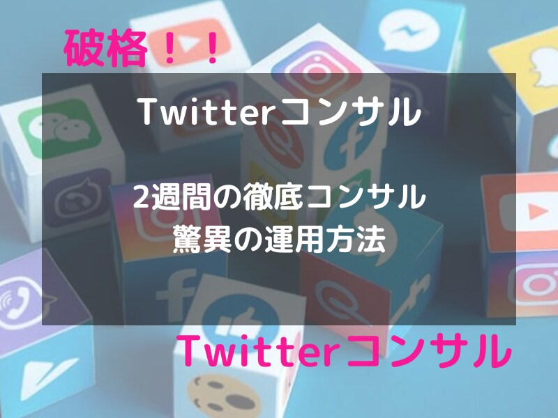 破格！プロが３０日間Twitterコンサルします インフルエンサーがガチでTwitterコンサルします イメージ1