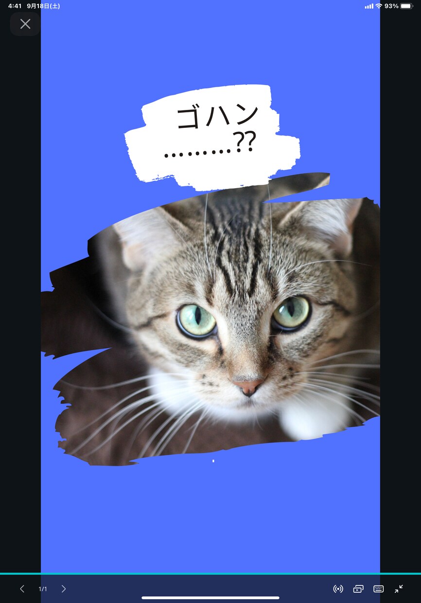 愛猫さんとの心地よい暮らしや食についてご提案します 猫との暮らし経験者にきいてみたい方へ イメージ1