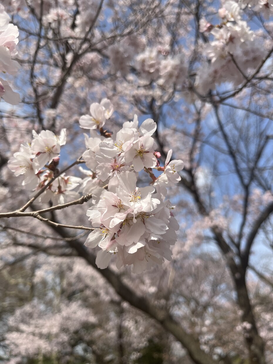 我慢しないで◎現役看護師、何でもお聞きします 精神科経験あり。離婚経験あり。絶対に否定しません。 イメージ1