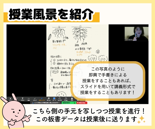 元医学部生のプロ講師が勉強をフルサポートします オンライン授業6コマ＋学習計画作成＋いつでも質問対応◎ イメージ5