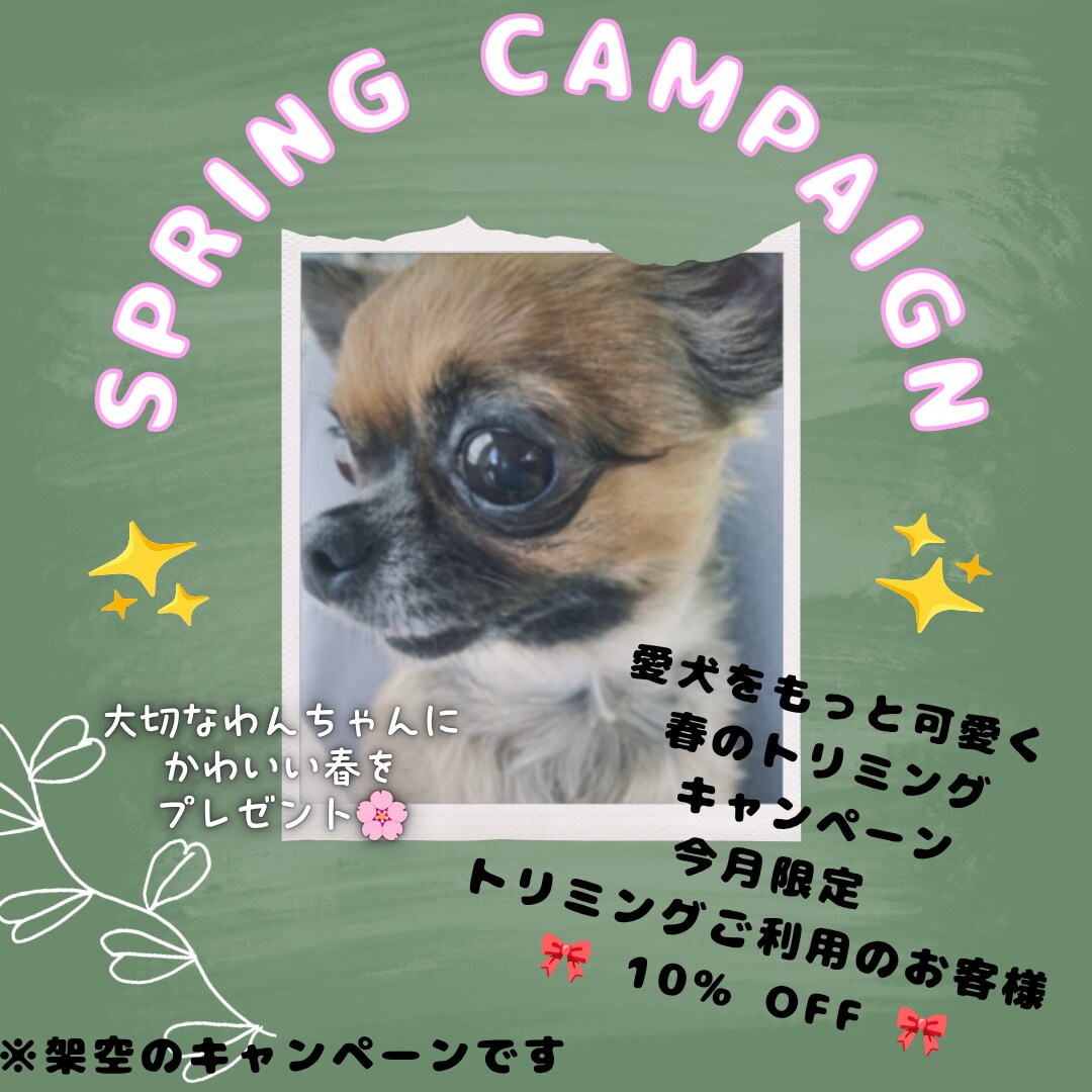 SNSやブログの文章をかわいく作成します 読みやすく伝わる文章を丁寧に作成します イメージ4