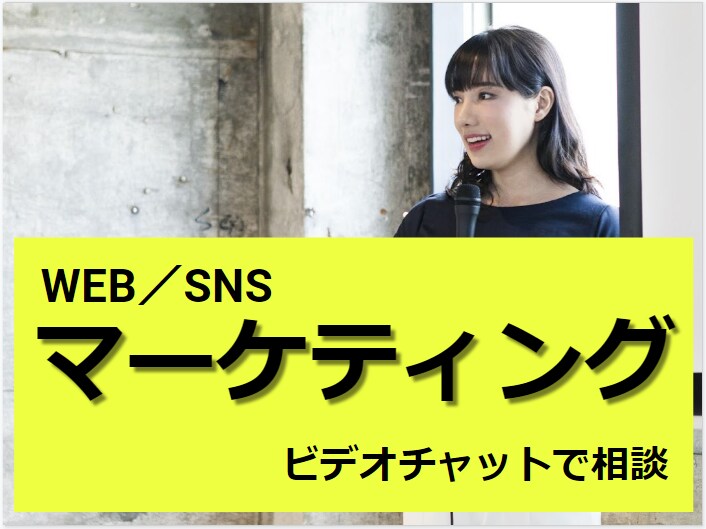 WEBマーケティング相談ビデオチャットで解決します WEBサイトやEC、SNS等お悩みを画面共有と会話で相談 イメージ1