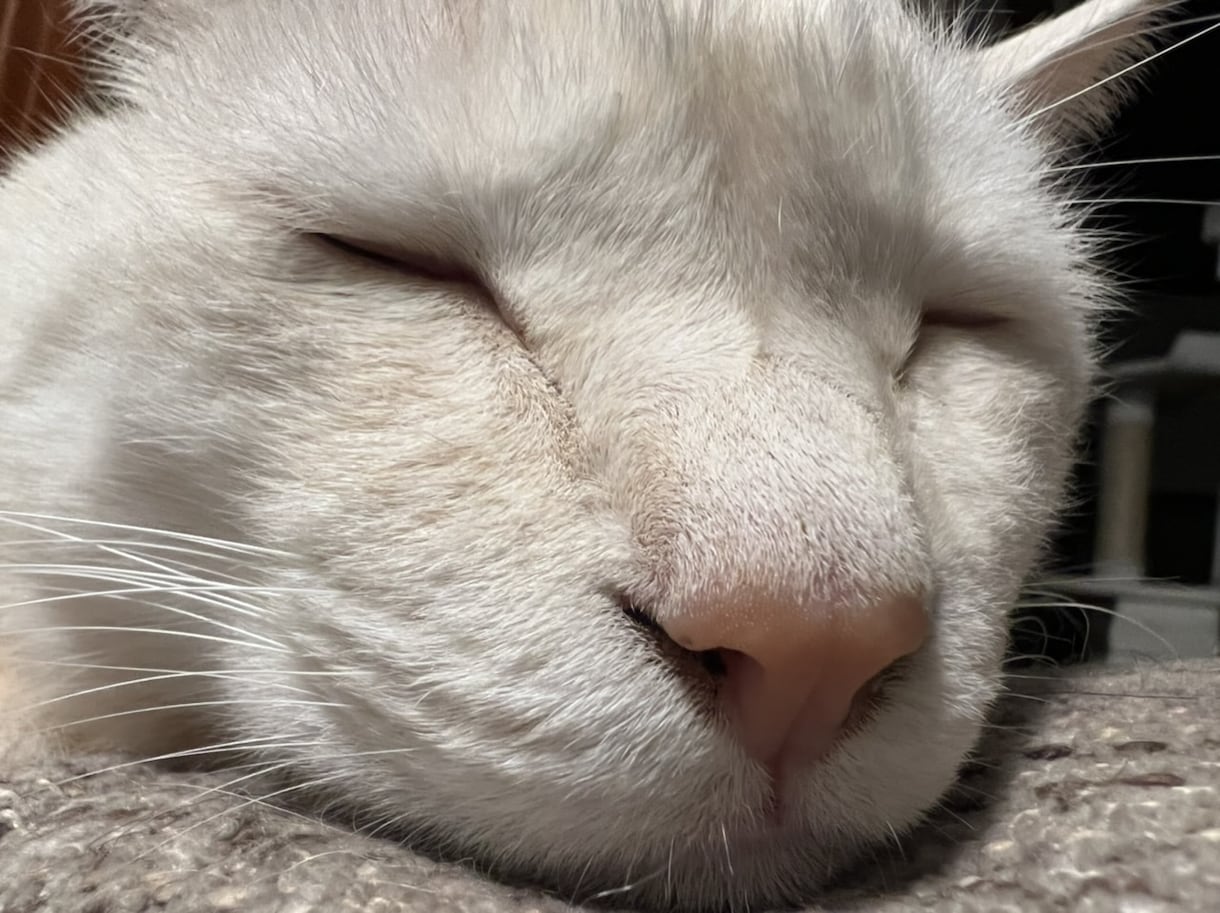 お話ししましょう☀︎聞き役にも話し役にもなります 話したいことがまとまってなくてもゆっくりで大丈夫です イメージ2