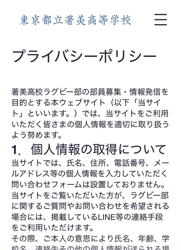 HP+チラシデザイン＆印刷費のセット販売を致します 【先着2名様限定企画】他社がOP扱いのものを全て標準化 イメージ7