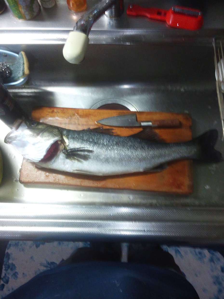 ふかせ釣り初めての方教えます ！何から準備したらいいか分からない、やるなら楽しみたい方向け イメージ6