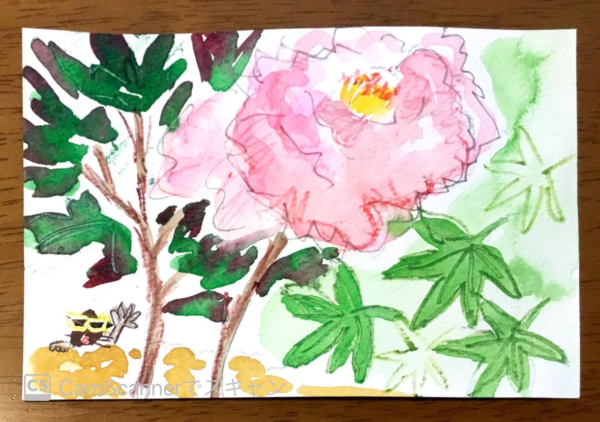 手描き絵ハガキを送ります あなたの希望の花、動物などのオリジナルイラストを描きます。 イメージ1