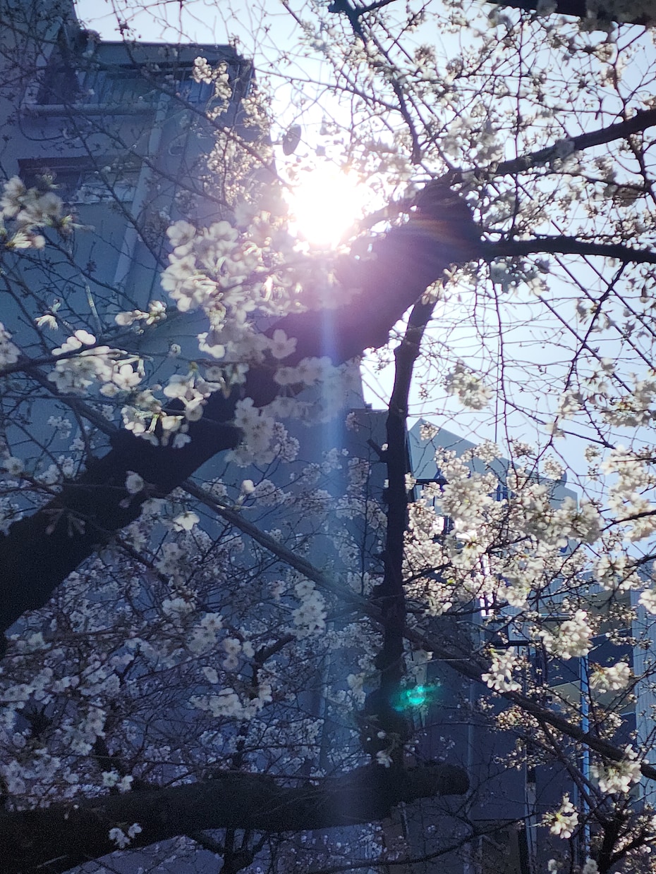 些細な事でもお話し何でも聞きます 孤独な時間を楽しい時間に変えませんか？ イメージ1