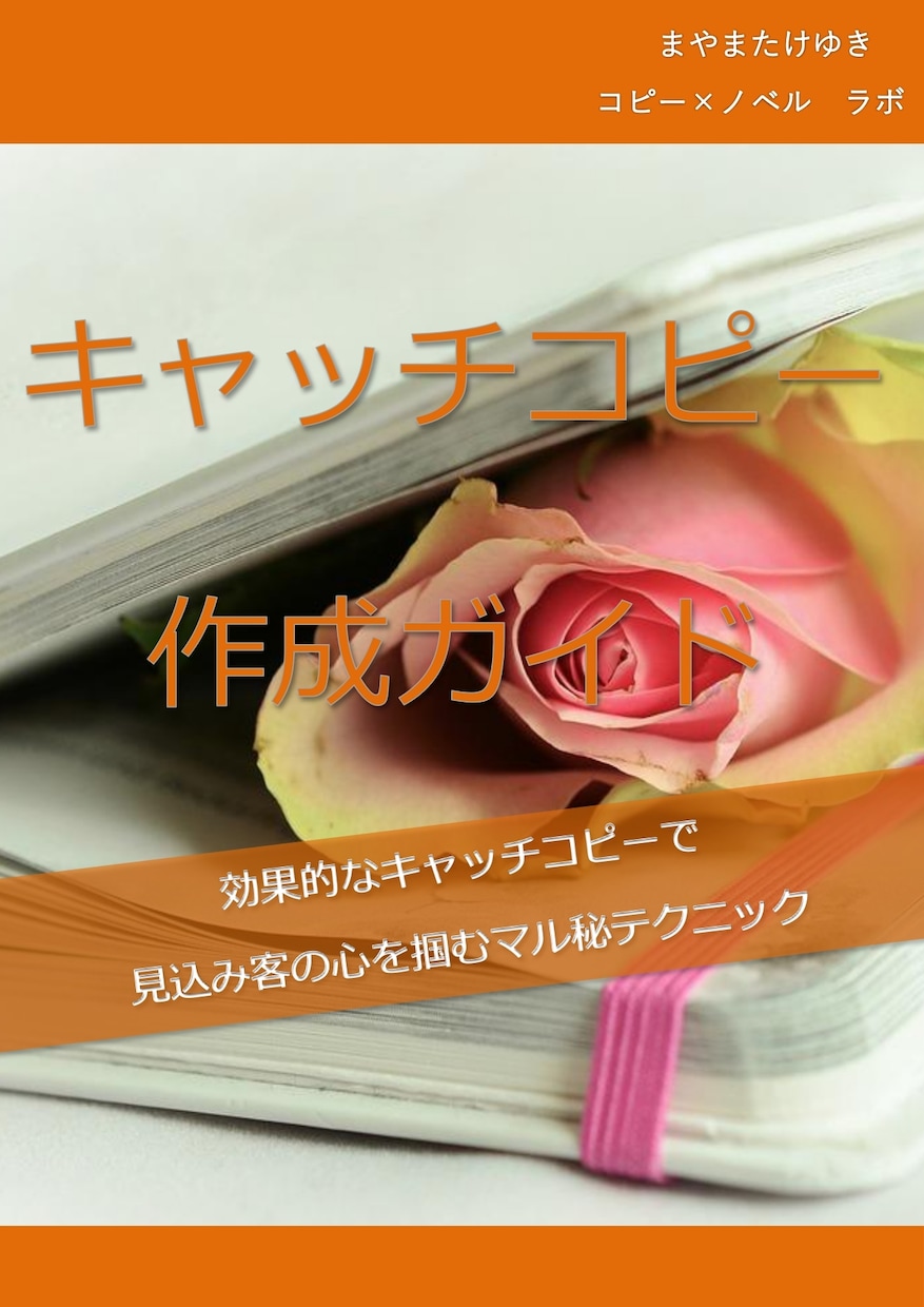 商品の魅力を引き出すキャッチコピーを10案作ります 小説家がターゲットの心を掴んで離さないコピーを生み出します イメージ4