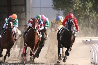 競馬予想します 競馬歴13年になります。独自のデータを使って予想します！ イメージ1