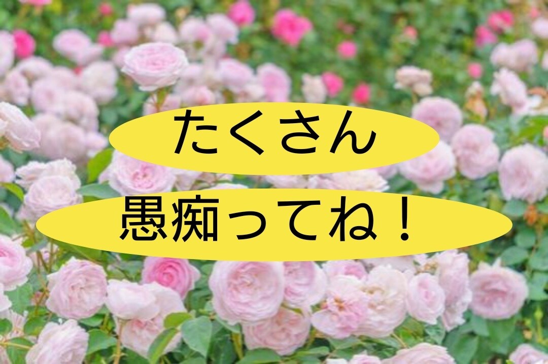 心のモヤモヤ 愚痴を全て受け止めます 非常識なことでもOK！愚痴は溜め込まないで吐き出しましょう！ イメージ1