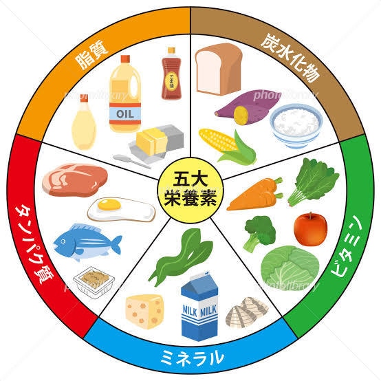 管理栄養士が1週間の食事指導、アドバイス致します 食事改善、ダイエット中の方におすすめ！キレイな体づくりを！ イメージ6